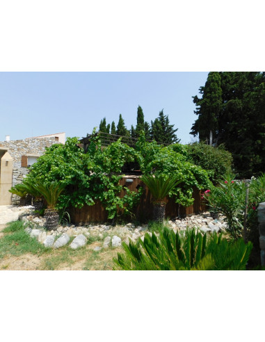 Alquile su casa amueblada de estilo veneciano en Perpignan para sus vacaciones