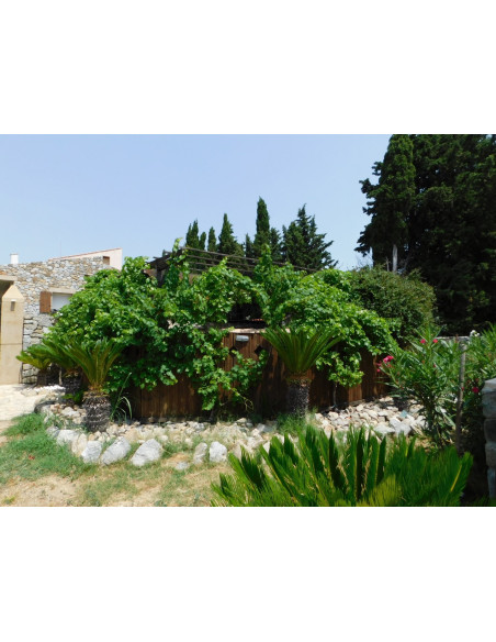 House renting in Perpignan : rent your furnished Venezia style house for your holidays