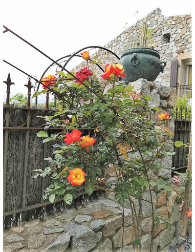 Affitta la tua casa arredata in stile Venezia a Perpignan per le tue vacanze