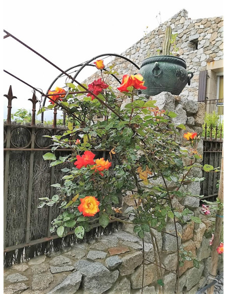 Venezia, location de gîte, piscine, meublé, à Perpignan pour vos vacances