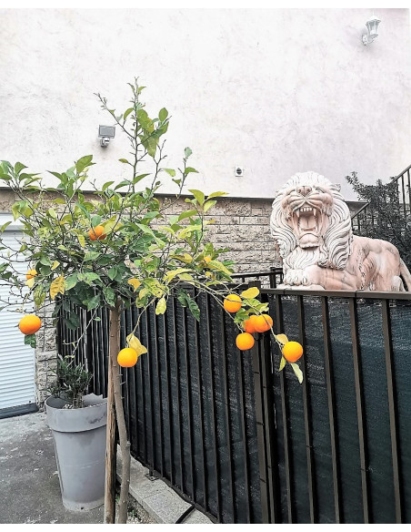 Huur uw gemeubileerde huis in Venezia-stijl in Perpignan voor uw vakantie