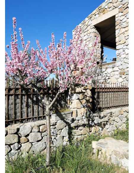 Alquile su casa amueblada de estilo veneciano en Perpignan para sus vacaciones