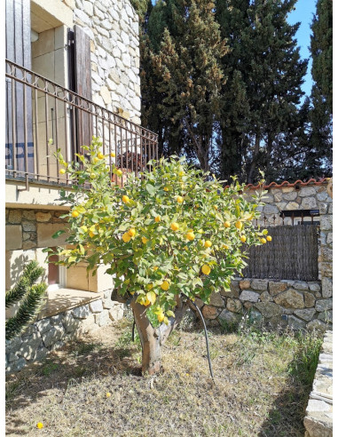 Alquile su casa amueblada de estilo veneciano en Perpignan para sus vacaciones