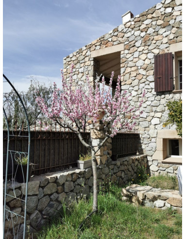 Alquile su casa amueblada de estilo veneciano en Perpignan para sus vacaciones