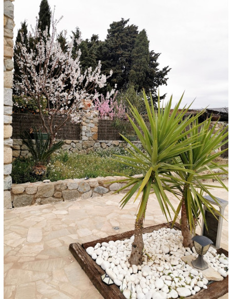 House renting in Perpignan : rent your furnished Venezia style house for your holidays