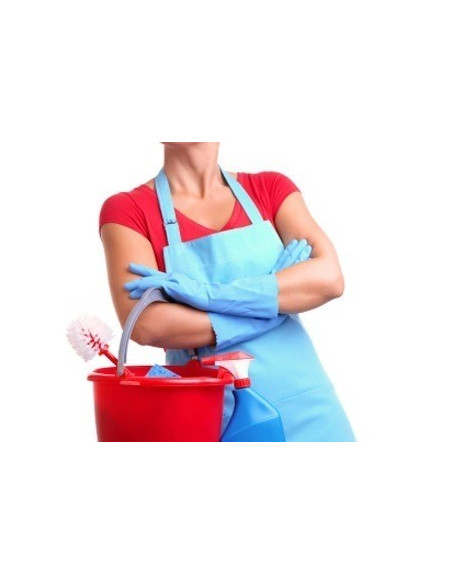 Service ménage journalier pour votre séjour au Domaine LaviaRegia