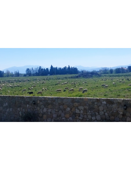 Noleggio di nostra casa arredata vicino al centro della città di Perpignan